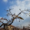 무무라게스트하우스 이미지