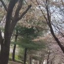 🌳 용정공원 숲체험 🌼 (사랑,기쁨반) 이미지