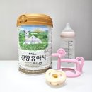 주산은주2농장 | 산양분유 차이 장점 및 신생아 엄마의 선택 후디스산양 추천
