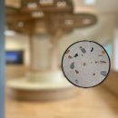 비인초등학교 이미지