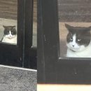 (주)미디어새벽