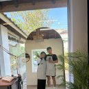 미다스소제 이미지
