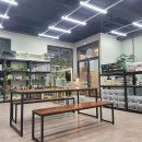 파충류샵KKZOO