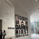 요즘 가장 핫한 전시 국립현대미술관 서울 데이미언허스트 개인전 주말 관람 후기 (~2026년 6월 28일)