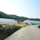 퇴촌면-1 이미지