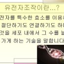 쥐쥐쥐에이치 이미지