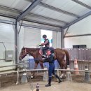 안산승마클럽 이미지