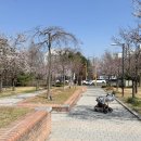 동춘1공원 이미지