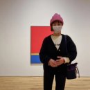 MMCA 국립현대미술관 서울 이건희컬렉션 예약 TIP 전시 후기