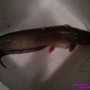 남촌낚시터 이미지