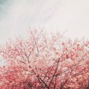 네일(Nail)언니