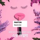 미용실수
