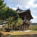 순흥애꽃 이미지