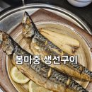 休(휴): 봄 마중 | 부여 점심 맛집 봄마중화덕생선구이 고등어구이 또 먹고 왔어요