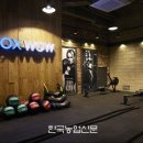 콕스다이어트 이미지