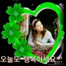 시골오리 이미지