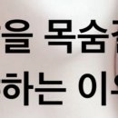 디앤브이 피트니스 네이버블로그