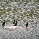 설천면107 이미지