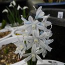 가온하우스 이미지