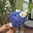 싱그러운 여름 꽃 화병꽂이 이미지