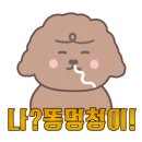 알버트하인