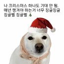 동대2부녀경로당 | 하반기 결산 (ft. 이모저모☀️)