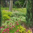 용호헬스사우나 이미지