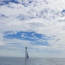 황금섬숯불갈비 이미지