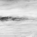 완도1호선 이미지