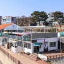 카페팔코