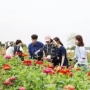 야생화단지내 이미지