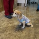 나눔동물병원 이미지