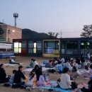 세월초등학교 경기신문