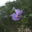 호계리~마곡사 이미지