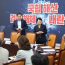 &#39;광복절 특사&#39; 조국, 11월 전당대회서 당대표 복귀? 이미지