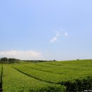 서광리-14 이미지