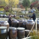 탑골농원 이미지