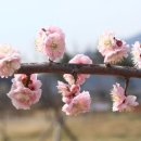 가야진사 이미지