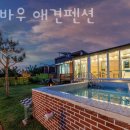 바우바우애견펜션 이미지