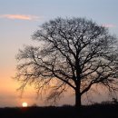 대지(大地)의 꿈 이미지