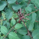 북원상가(3층) 이미지