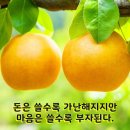 말을 바꾸면 인생이 변합니다. 이미지