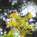 신원2리 마을회관 이미지