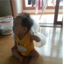아기 머리보호대) 직접 만들기VS뒤쿵 사용후기