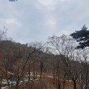 다인연합의원 네이버블로그