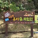 장애인국민체육센터 | 대구 아이와 가볼만한곳 ‘대흥동 유아숲체험원’ 물놀이장 계곡은 아직