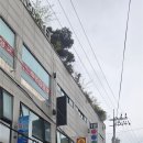 가능로 | 의정부 맛집 가성비 좋은 자가제면 황태 아빠손칼국수 방문 후기