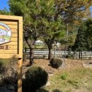 레티피코 이미지