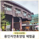 용인자연휴양림 숲속체험관 | 아이랑 용인 자연휴양림 숲속체험관 숙소 후기 숯불 바비큐 계곡