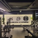 불독휘트니스 이미지